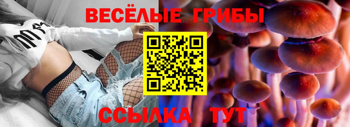 Галлюциногенные грибы Cubensis  Вход с VPN  Избербаш  Псилоцибиновые грибы GOLDEN TEACHER 
